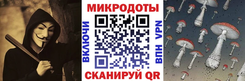 ОМГ ОМГ как зайти  Севастополь  Галлюциногенные грибы Psilocybine cubensis 
