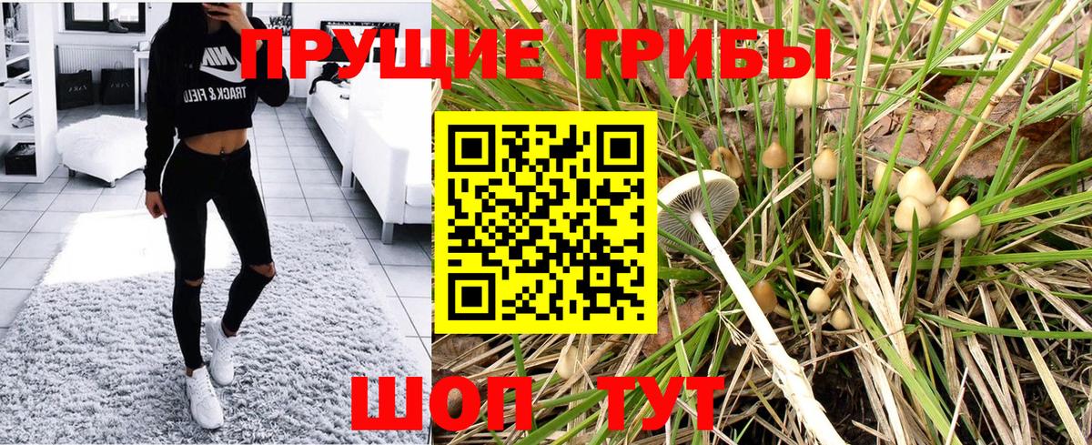 цена наркотик  Севастополь  Галлюциногенные грибы мухоморы 